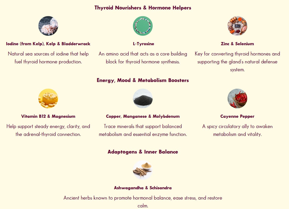Ingredients Of Thyrafemme Balance